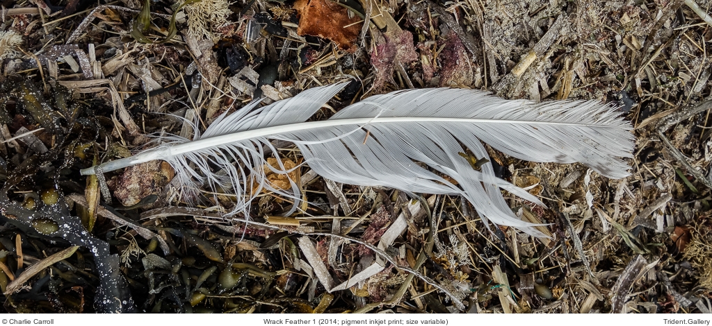 Wrack Feather 1