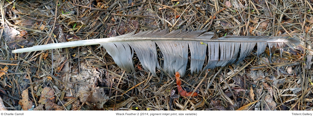 Wrack Feather 2