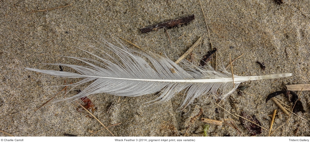 Wrack Feather 3