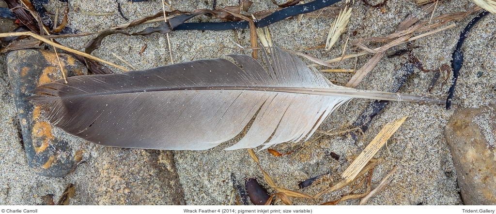 Wrack Feather 4