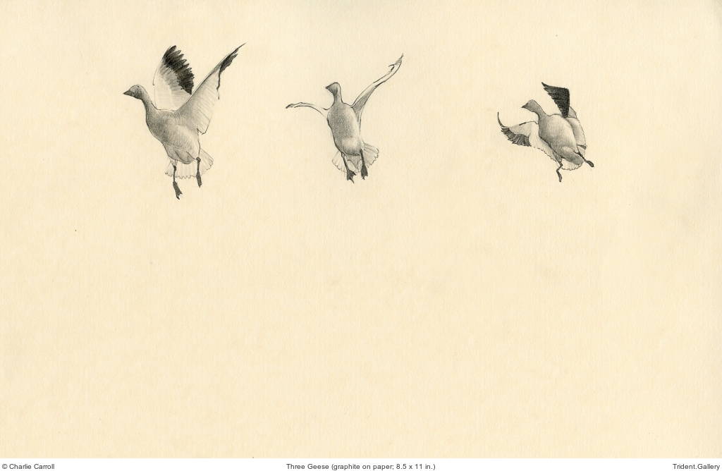Three Geese