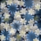 Blue and White