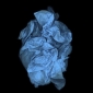 Blue Tissue Paper