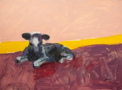 Purple Cow Laying